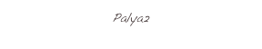 Palya2