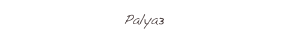 Palya3