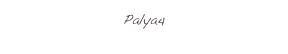 Palya4